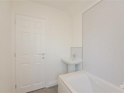 Picture 29